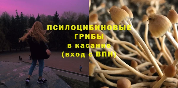 трава Мегион