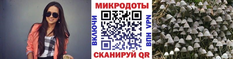 Псилоцибиновые грибы ЛСД  Купить где  Можга 